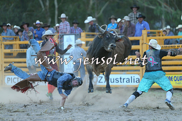PictonRodeo2015_2508