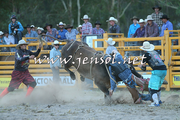 PictonRodeo2015_2507