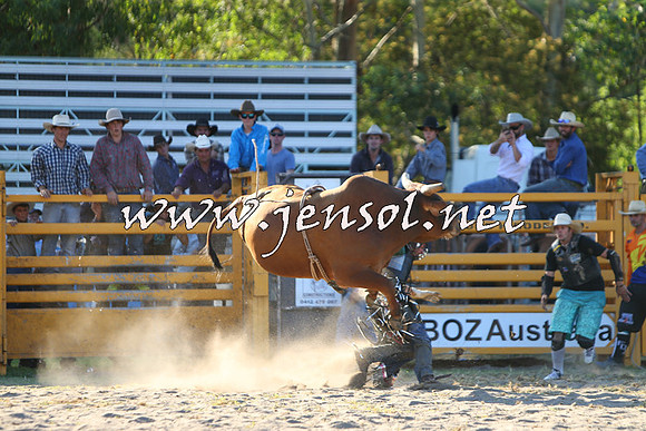 PictonRodeo2015_2135