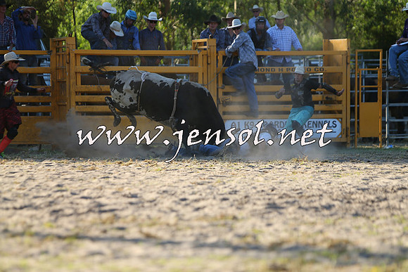 PictonRodeo2015_2061