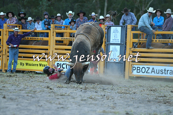 PictonRodeo2015_2565