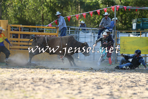 PictonRodeo2015_2105