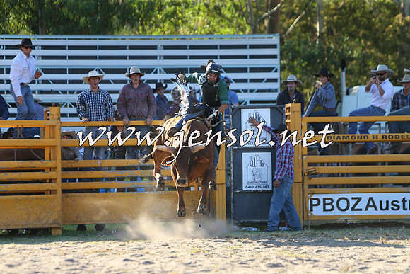 PictonRodeo2015_2127