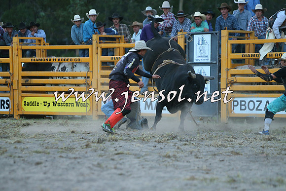 PictonRodeo2015_2828