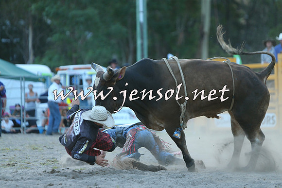 PictonRodeo2015_2525