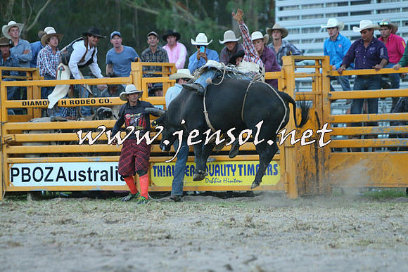 PictonRodeo2015_2807