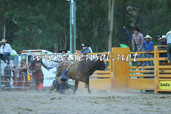 PictonRodeo2015_2634