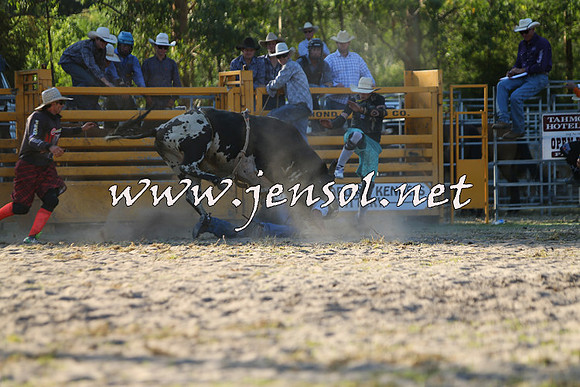 PictonRodeo2015_2055