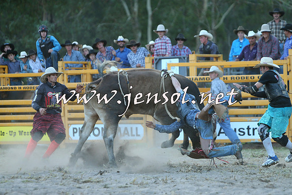 PictonRodeo2015_2520