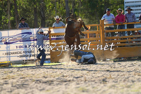 PictonRodeo2015_2017