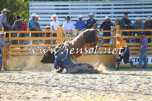 PictonRodeo2015_2159