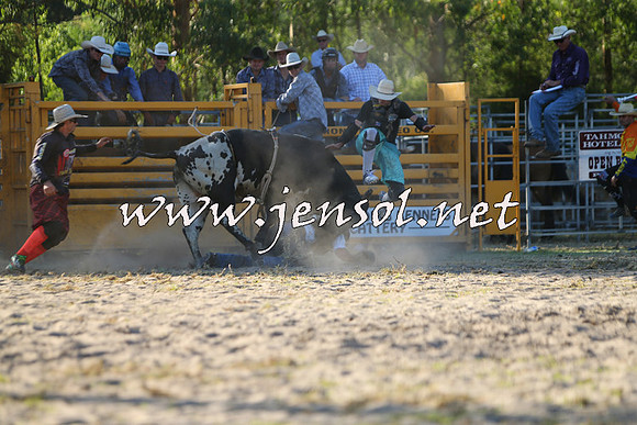 PictonRodeo2015_2056