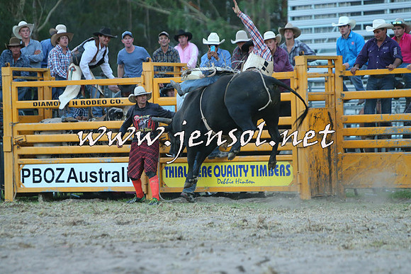 PictonRodeo2015_2809