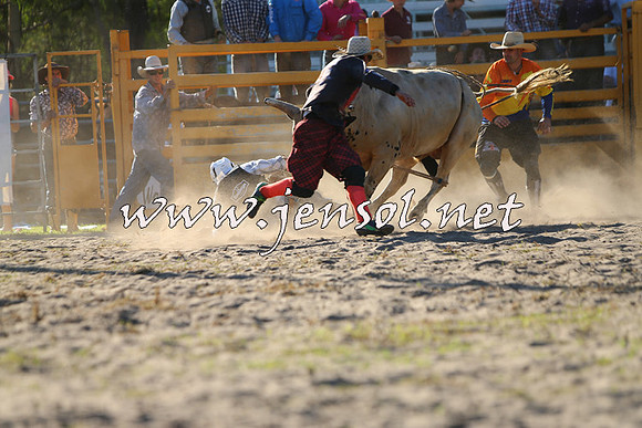 PictonRodeo2015_2006