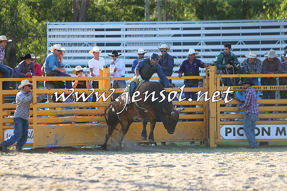PictonRodeo2015_2144