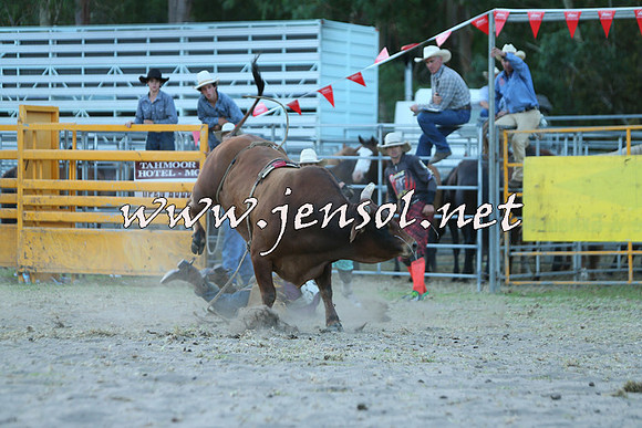 PictonRodeo2015_2587