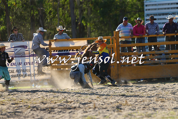 PictonRodeo2015_2014