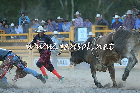 PictonRodeo2015_2533