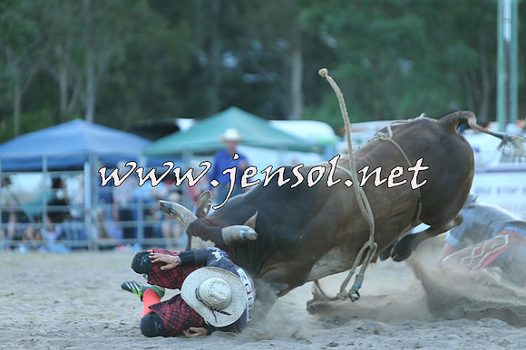 PictonRodeo2015_2547