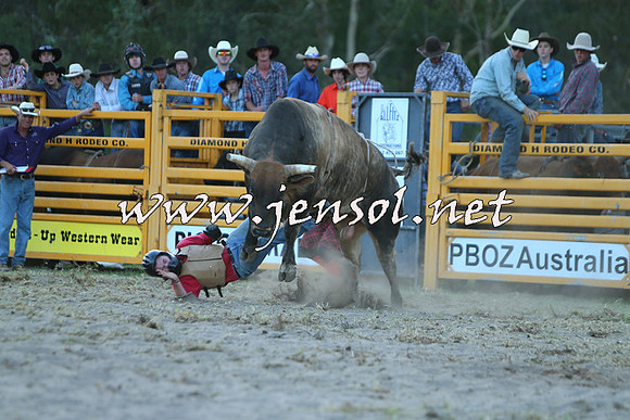 PictonRodeo2015_2554