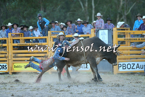 PictonRodeo2015_2497