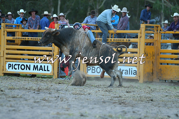 PictonRodeo2015_2561