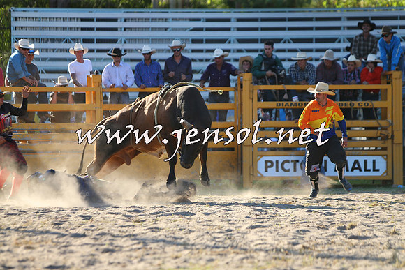 PictonRodeo2015_2162