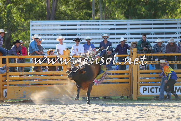 PictonRodeo2015_2151