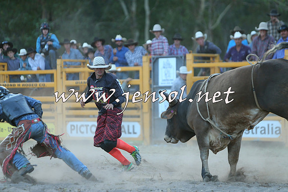 PictonRodeo2015_2530