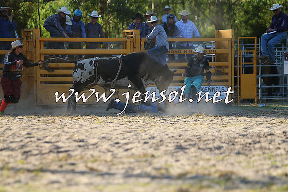 PictonRodeo2015_2062
