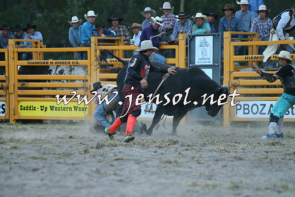 PictonRodeo2015_2824