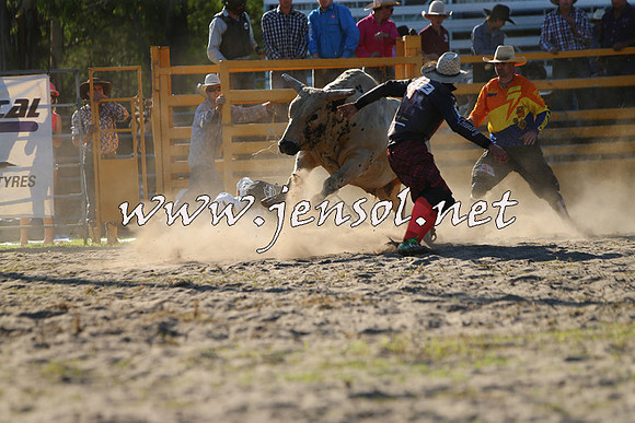 PictonRodeo2015_2004