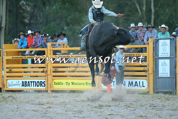 PictonRodeo2015_2735