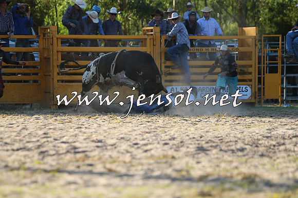 PictonRodeo2015_2046