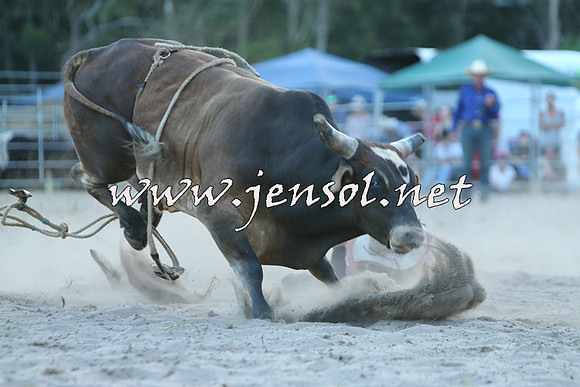 PictonRodeo2015_2539