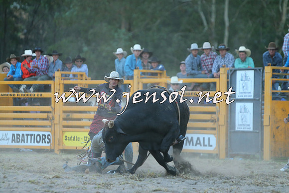 PictonRodeo2015_2796