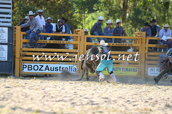 PictonRodeo2015_1976