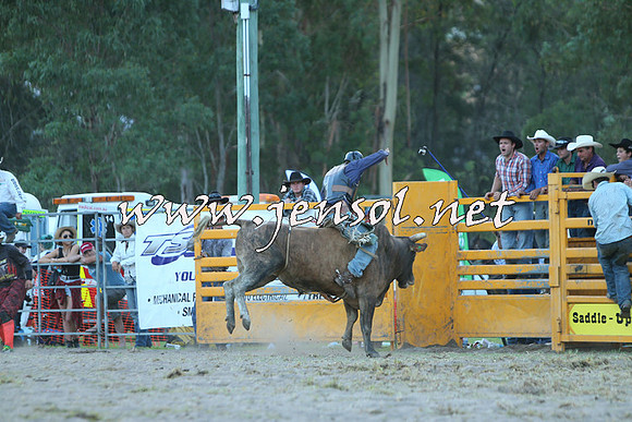 PictonRodeo2015_2619