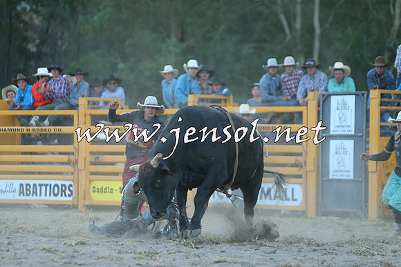PictonRodeo2015_2801