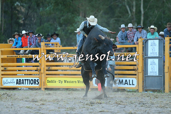 PictonRodeo2015_2741