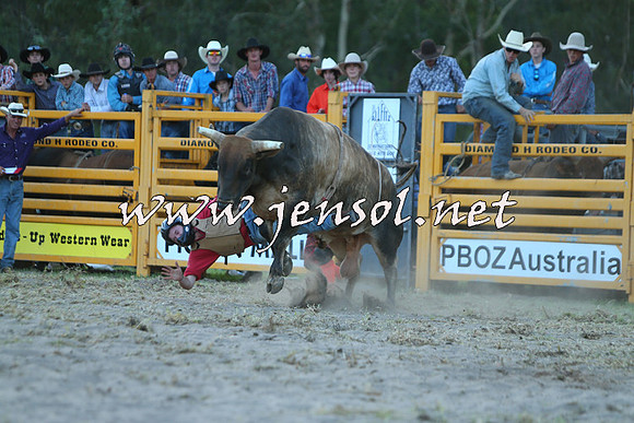 PictonRodeo2015_2556