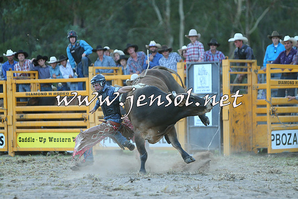 PictonRodeo2015_2499