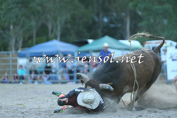 PictonRodeo2015_2545