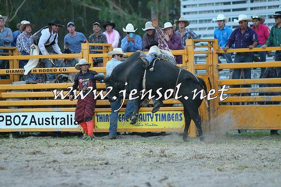 PictonRodeo2015_2806