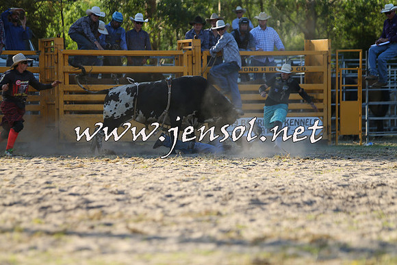 PictonRodeo2015_2064