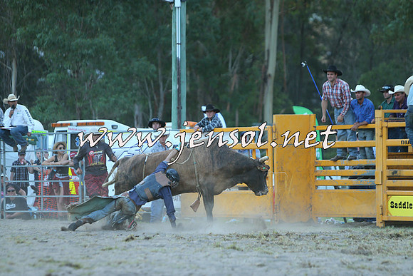 PictonRodeo2015_2633