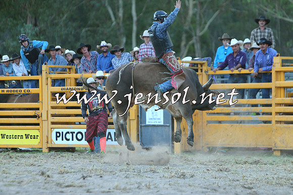 PictonRodeo2015_2493
