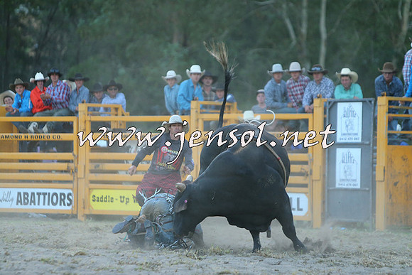 PictonRodeo2015_2798