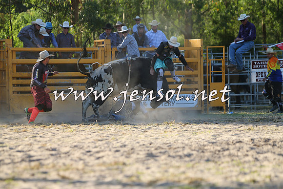 PictonRodeo2015_2057