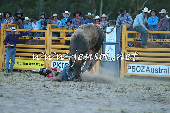 PictonRodeo2015_2566